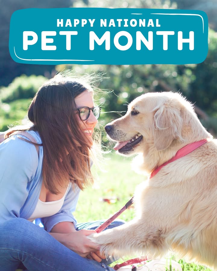It’s National Pet Month, and we’re celebrating the pets who make every day sweeter
