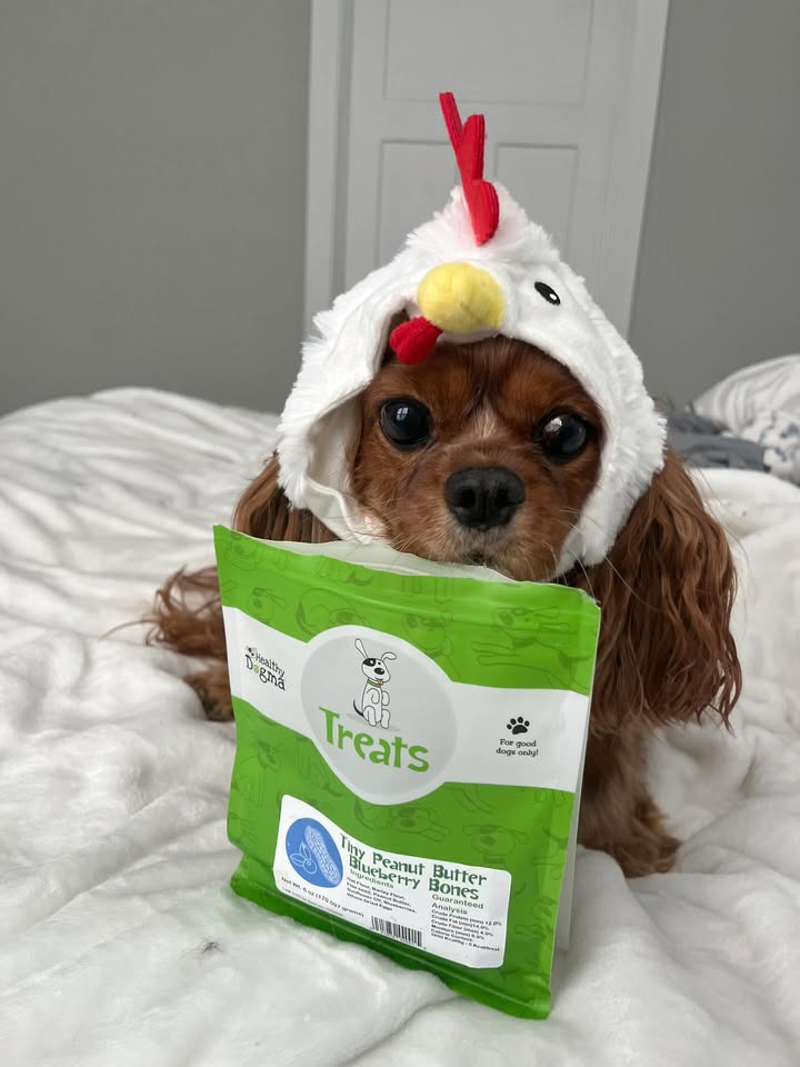 Happy Halloween 👻🎃