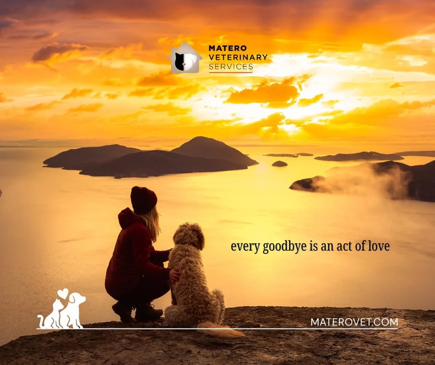 Saying goodbye at home can offer a gentle sense of peace for both pets and families