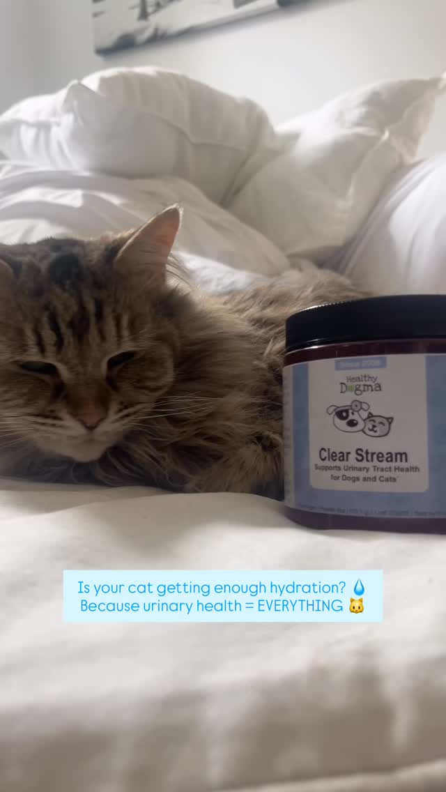 Catching it early and supporting urinary health can make all the difference 💙