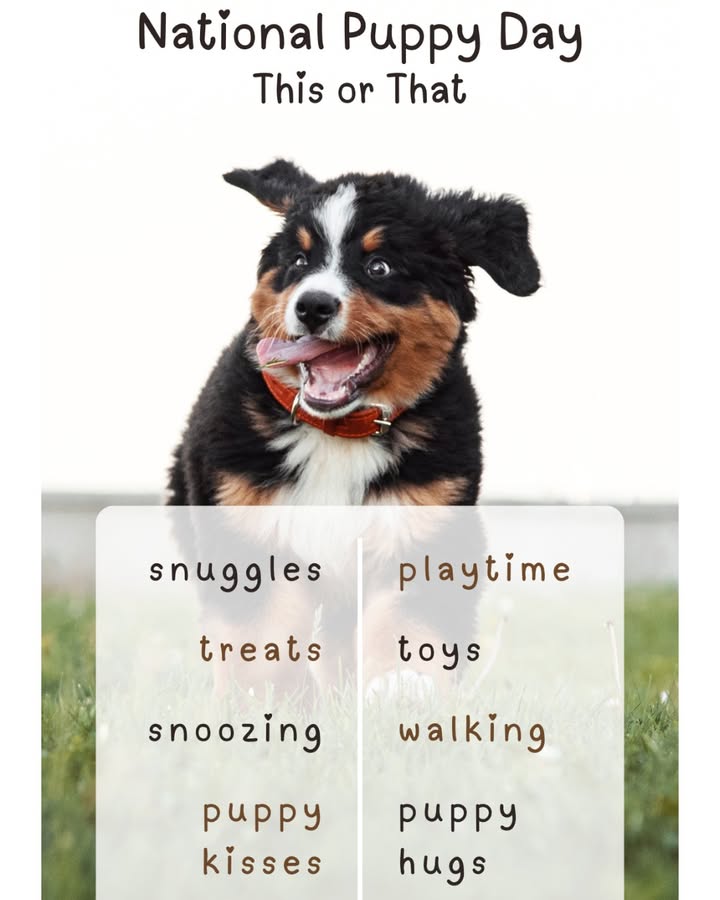 It's National Puppy Day, and we would love to see photos of your furry friends!