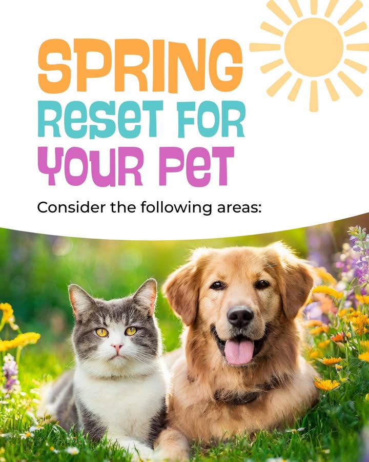 Photos from Orion Animal Care Center's post