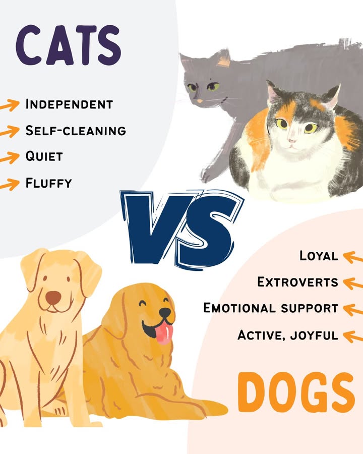 Today is opposite day!