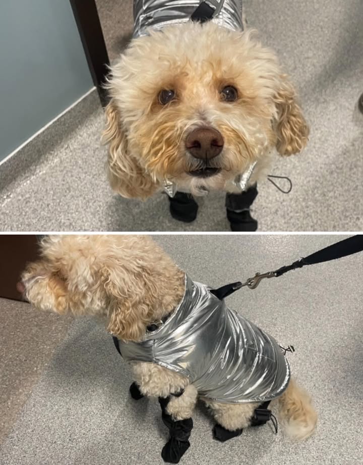 Happy Monday, we hope you had a nice holiday!