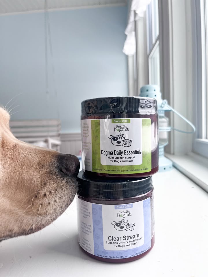 Photos from Healthy Dogma's post