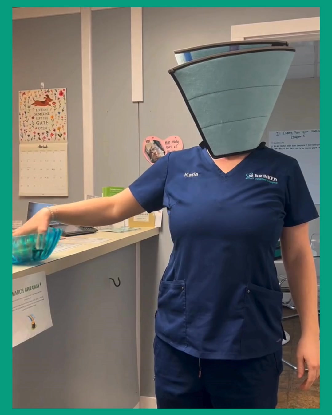 ✨ And the winner is