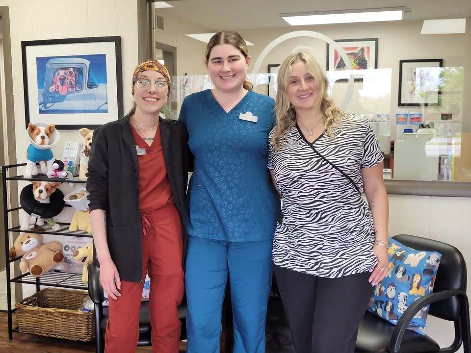 Happy Veterinary Assistant Week🎉