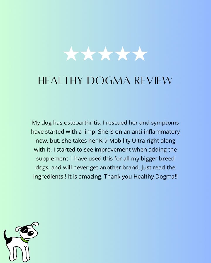 Five stars, happy paws ⭐️🐾