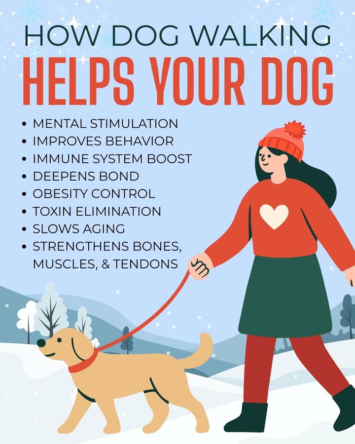 January is Walk Your Dog Month, and a great reminder that fresh air is good for pets and people