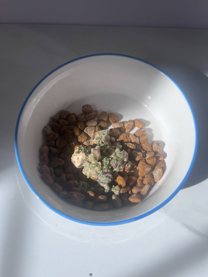 Are you looking at introducing healthier food to your pets food?