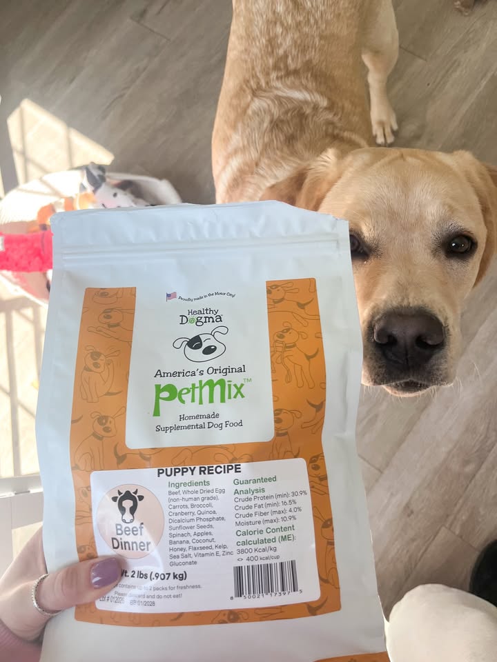 Fueling tiny paws with big nutrition 🐾✨