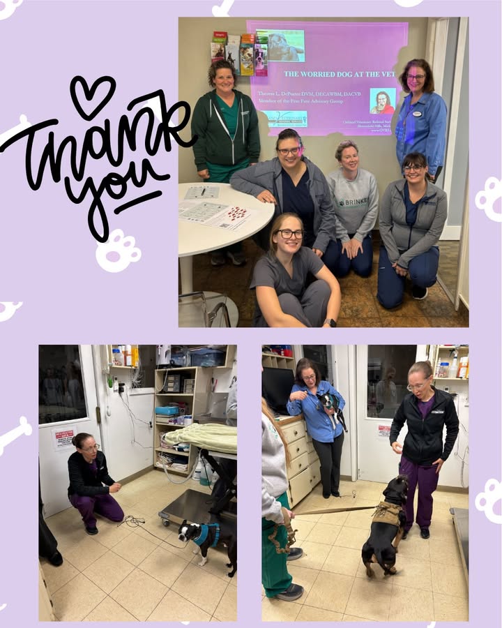 More photos of our continuing education with the behavior department from OVRS!