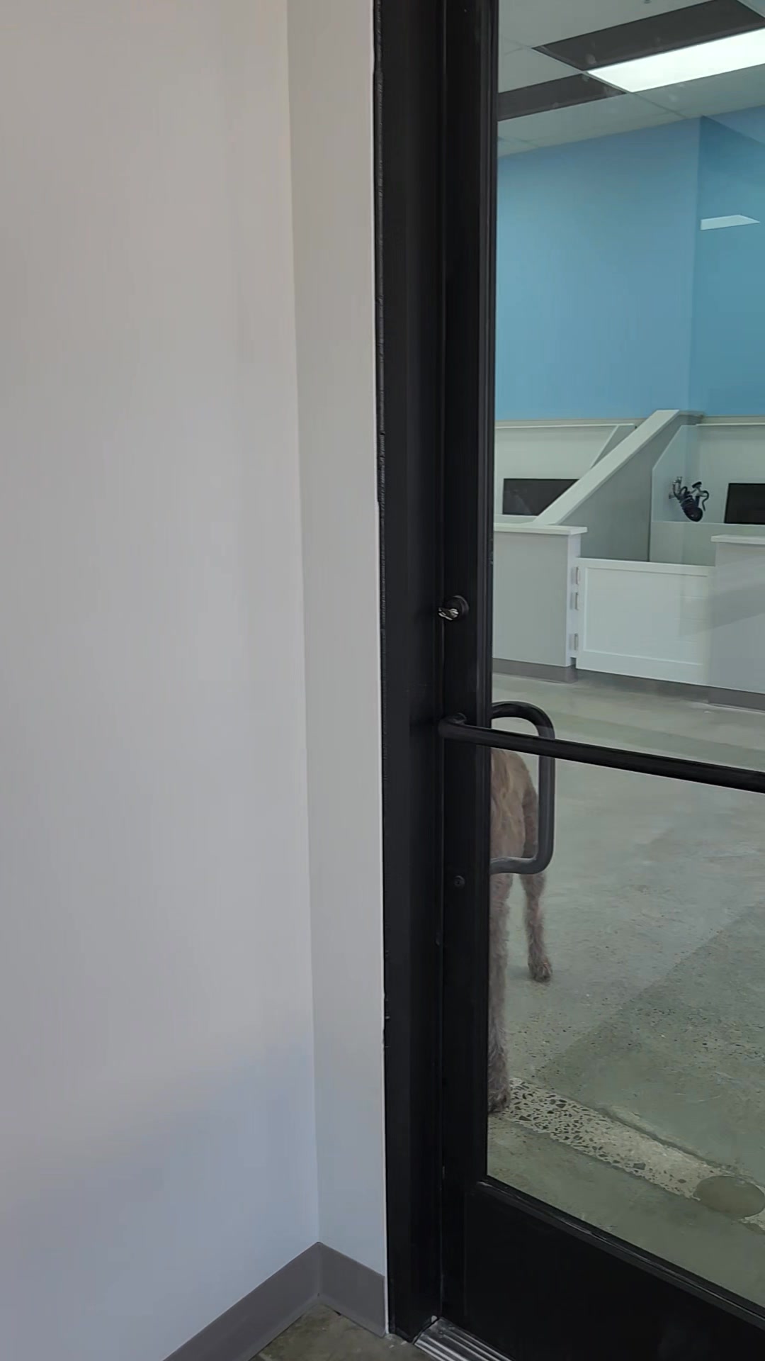 Here is a sneak peek of our new shop (moving from 3071 to 3085 S Baldwin Rd in the same plaza)!