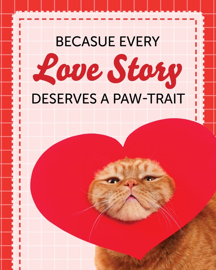Because every love story deserves a paw-trait Our Valentine’s Day pet photo sessions are booking now!