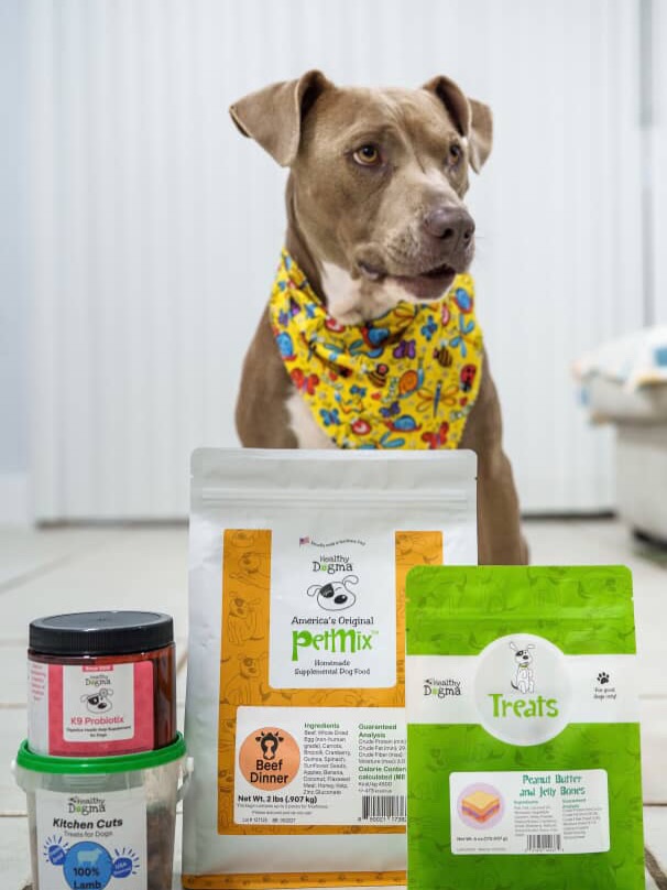 Photos from Healthy Dogma's post