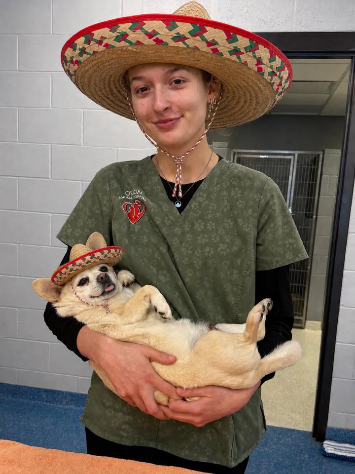 Happy Cinco de Mayo!