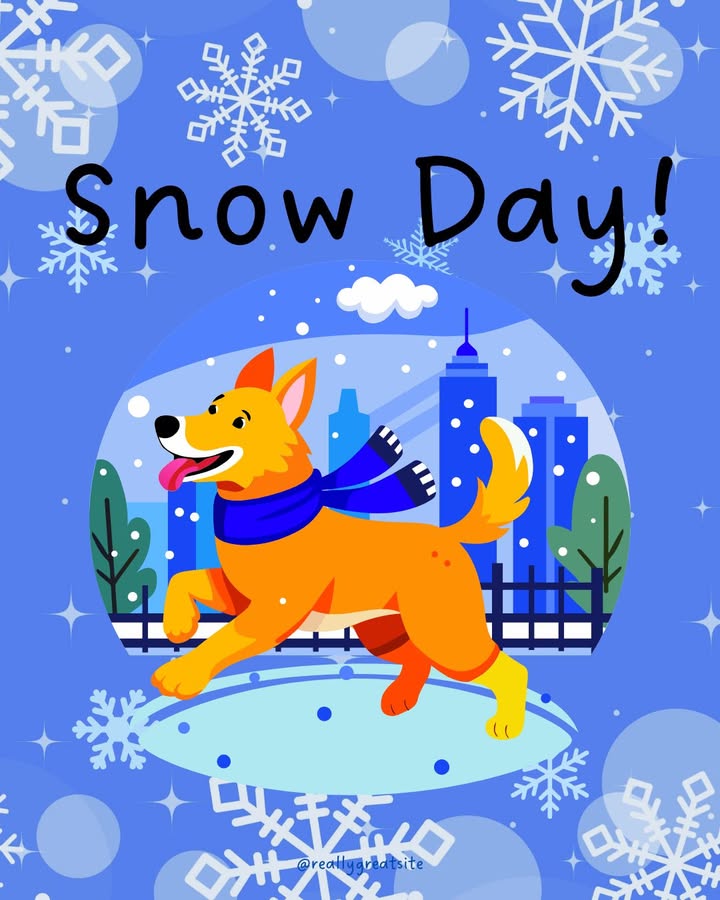 What snowy day activities do you enjoy with your pets?