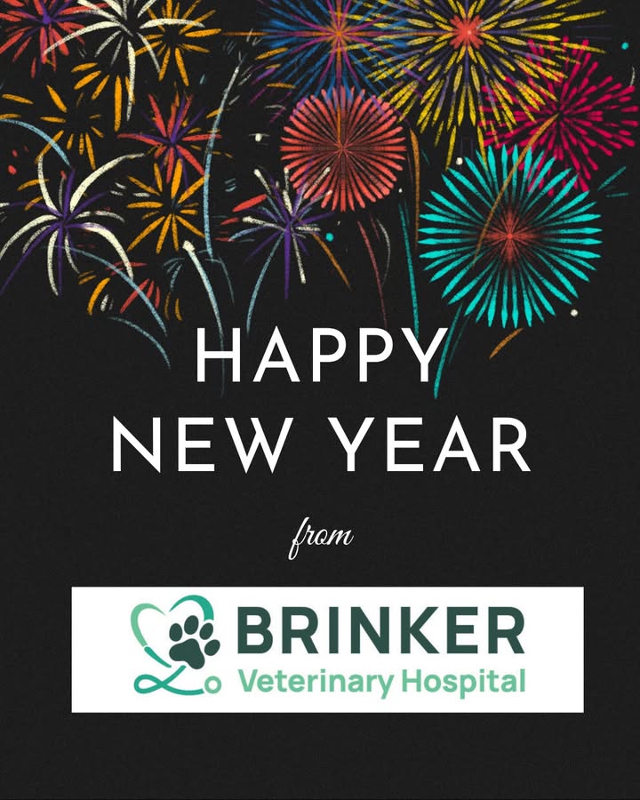 Happy New Year from all of us at Brinker Veterinary Hospital!