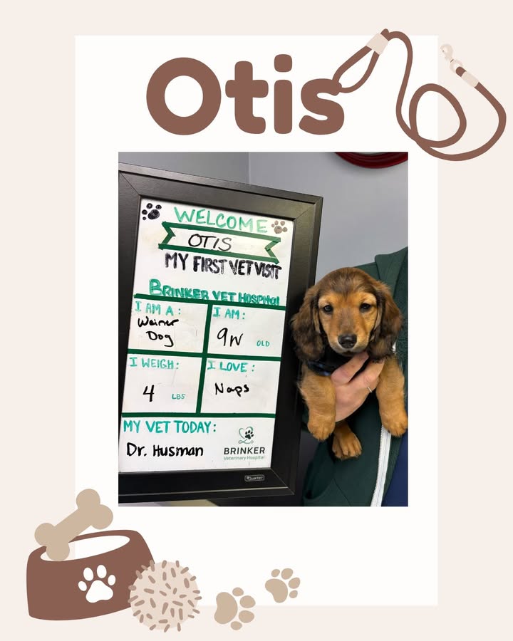 Welcome, Otis!