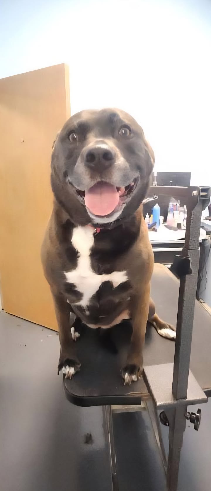 Such a happy baby! ❤️🐾