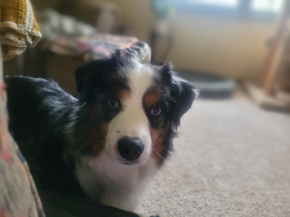 📓 Chap’s Diary Entry