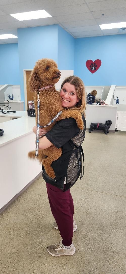 Please pick me up so I can watch my Mom walk away!