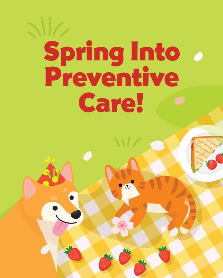Spring is here, which makes it a great time to check in on your pet’s health
