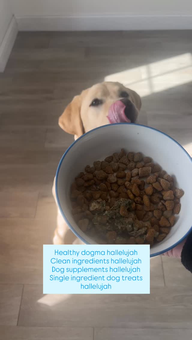 A post from Healthy Dogma