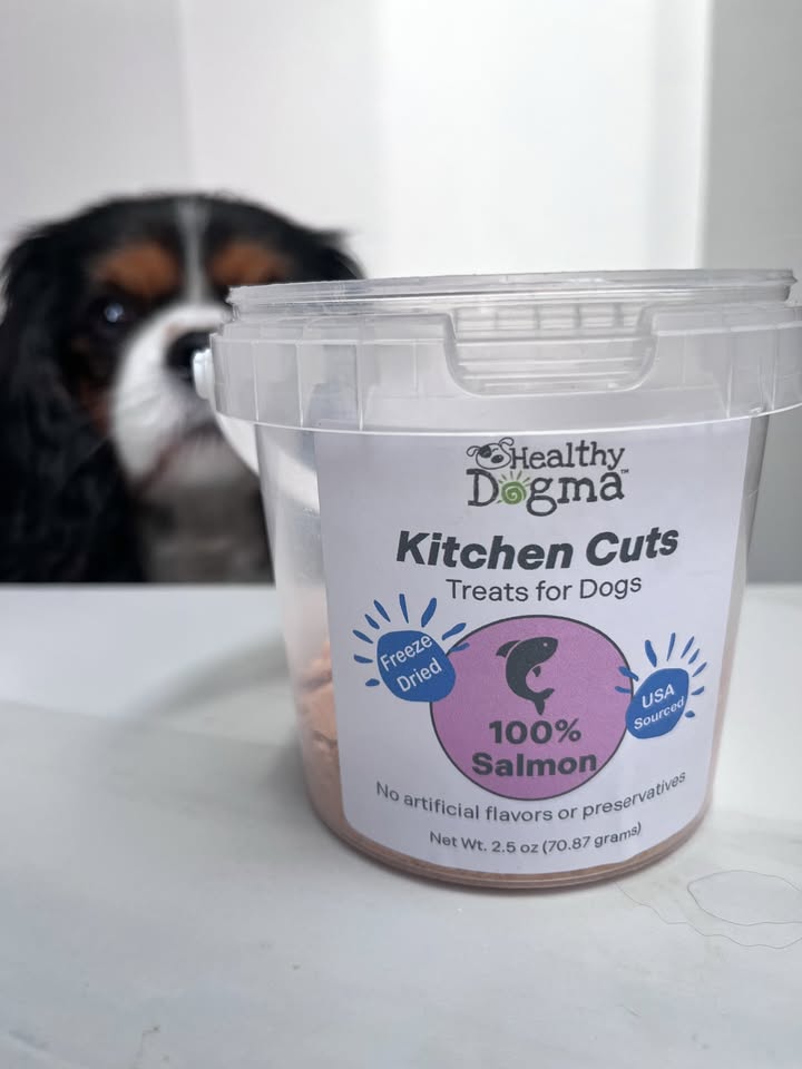 POV: you opened the good treats 🐟👀