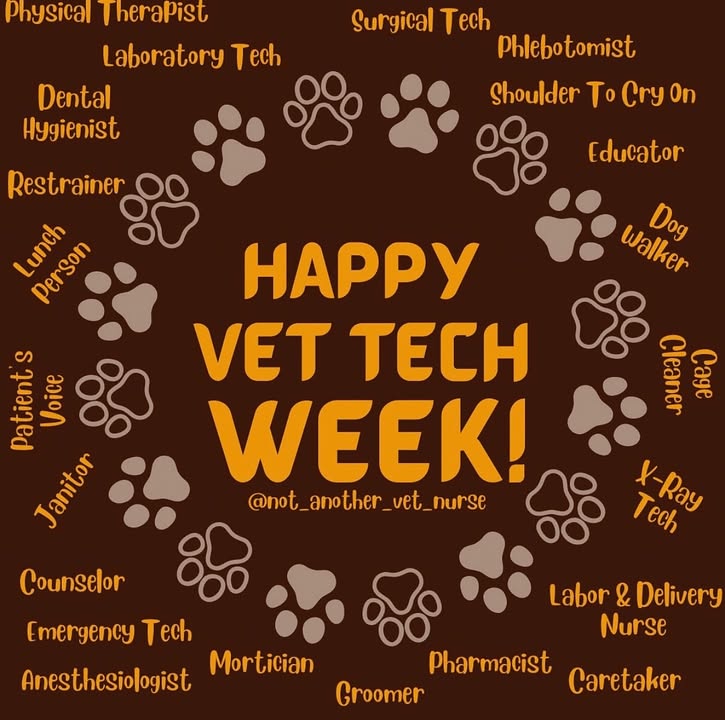 Happy official start to Vet Tech Week🤎 #vettechweek