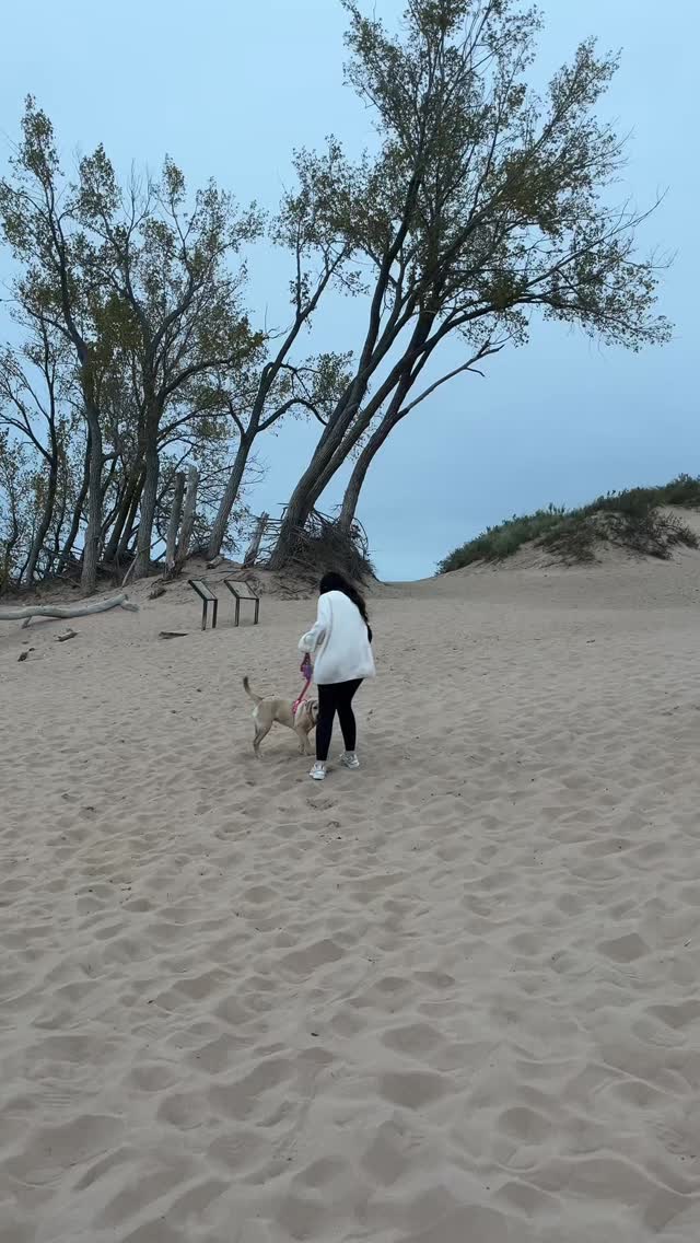 Calling all crunchy pet parents!