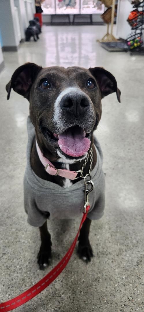 Love Bug! 🥰❤️🐾