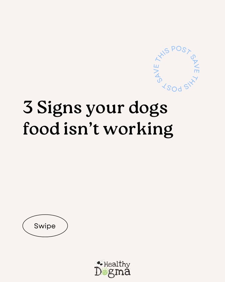 Photos from Healthy Dogma's post