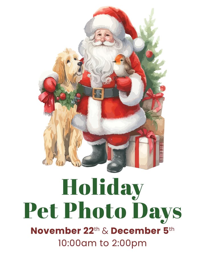 Holiday pet photos at OACC by Mello & Friends: November 22nd and December 5th from 10am-2pm