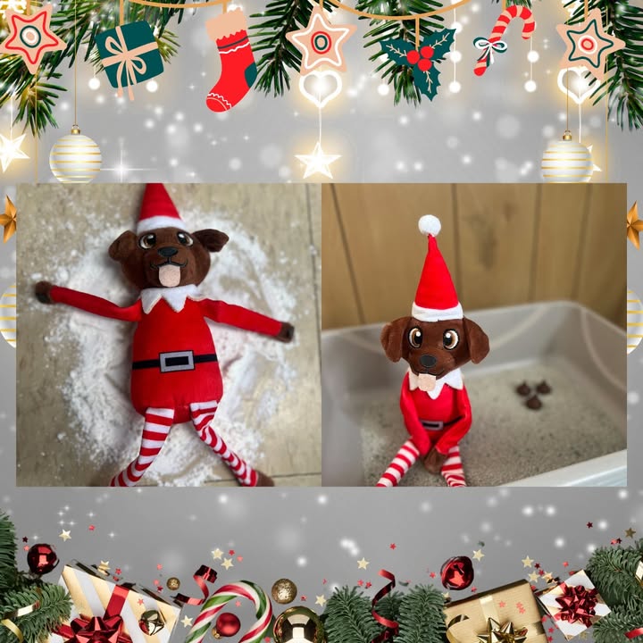 Snow angels &… litter box training?!