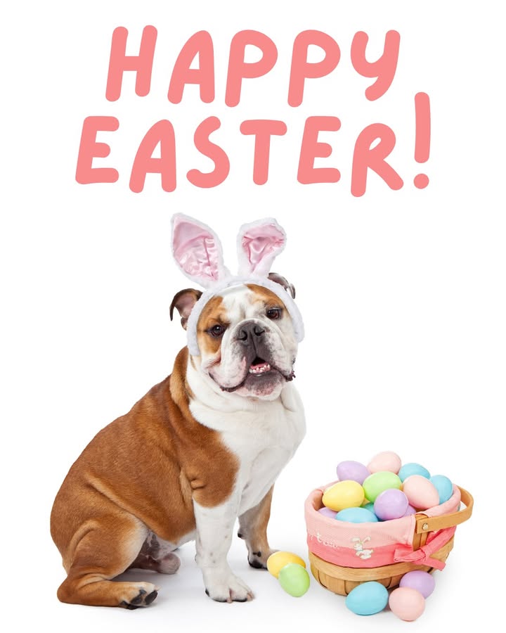 Happy Easter from all of us at Orion Animal Care Center!
