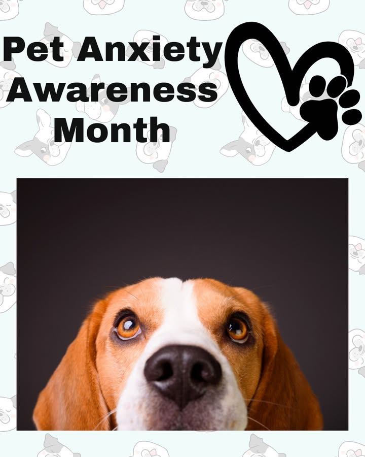 March is Pet Anxiety Awareness Month
