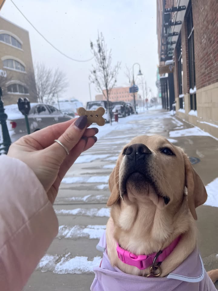 POV: you’d walk through a blizzard for a snack too