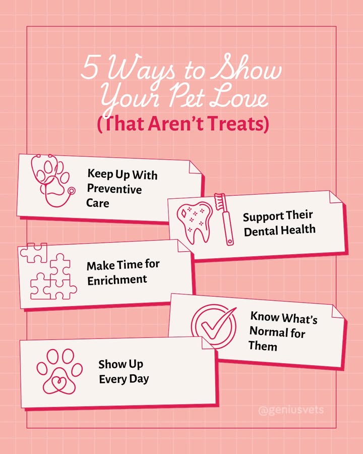 We can help care for your pet in many ways (full disclosure - we like to give treats, too!)