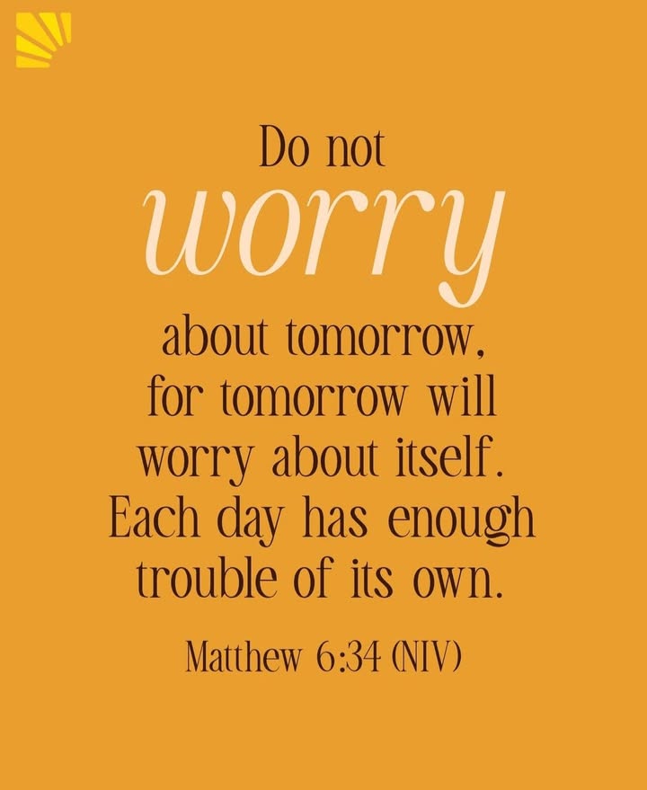 Happy Sunday! 🙏❤️🐾