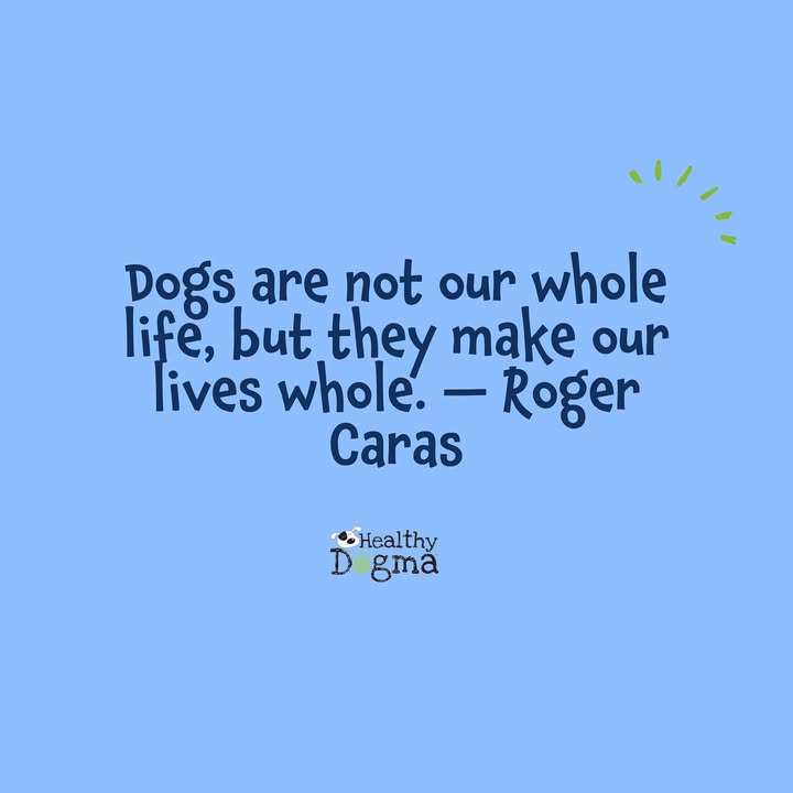 💙