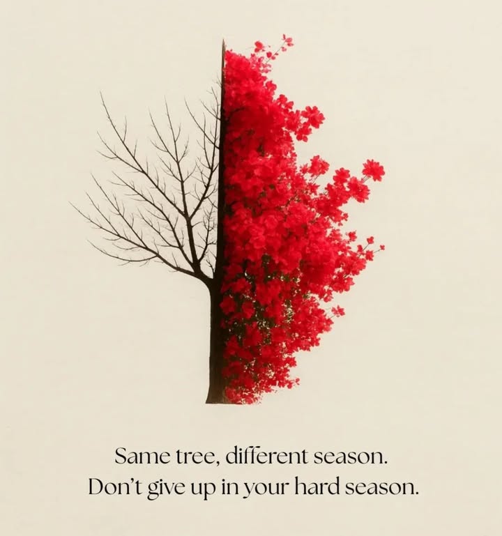 Happy Sunday! 🙏❤️🐾