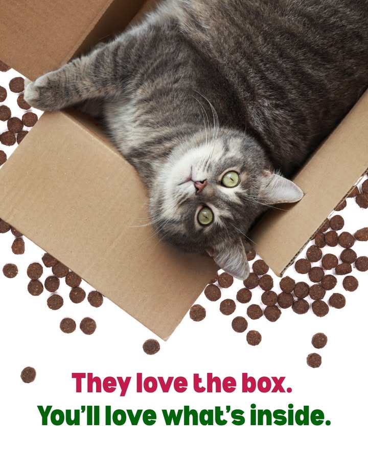 Did you know you can order your pet’s medications and preventatives online?