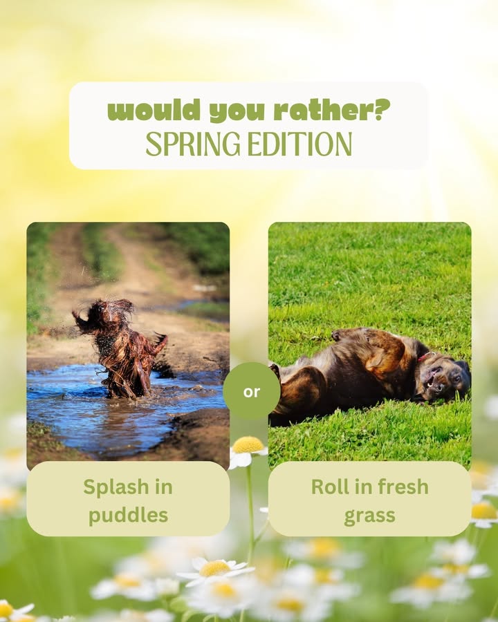 It may be officially spring 🌸… but we know it’s still feeling a little meh outside ❄️🌧️