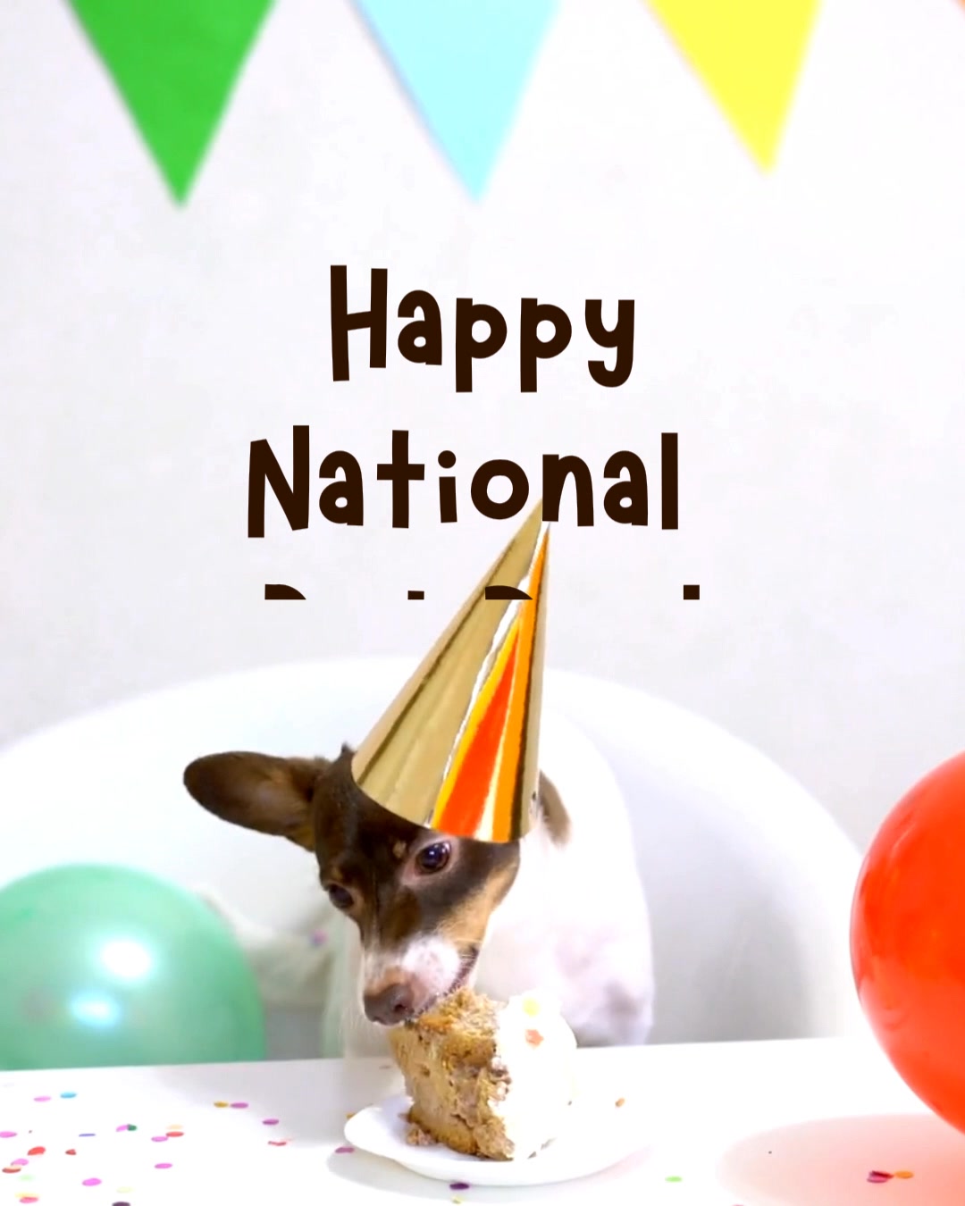 Happy National Pet Day!