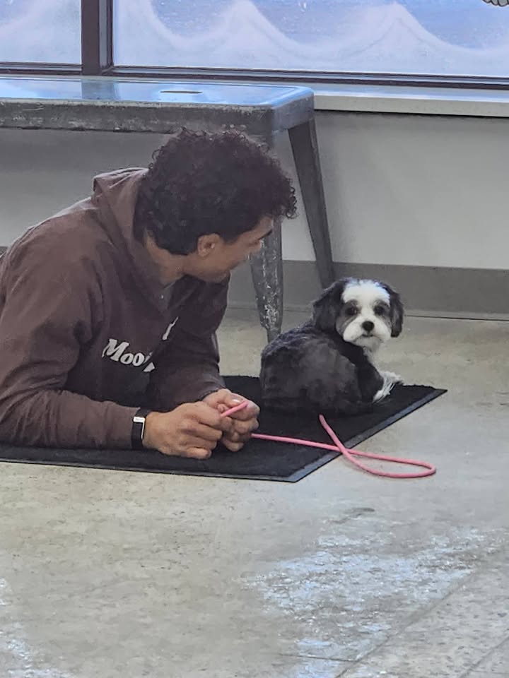 Photos from Love 4 Dogs's post