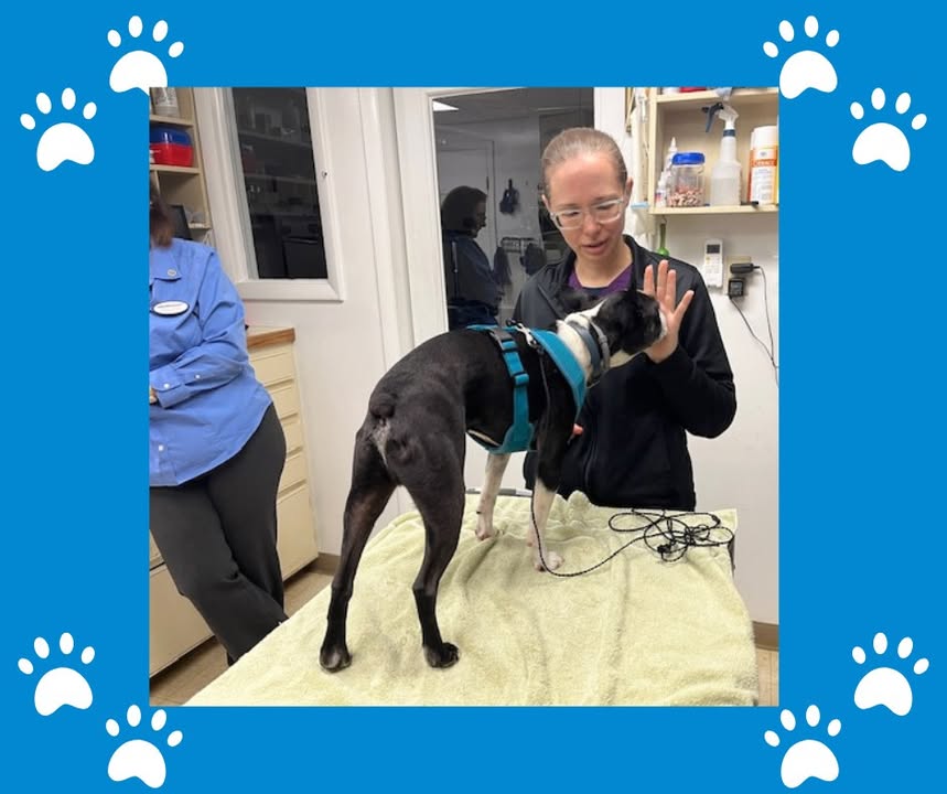 Our team recently welcomed Dr