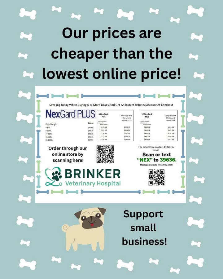 We recommend year-round flea, tick, and heartworm prevention