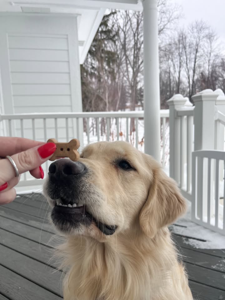 Nose tested and golden approved!