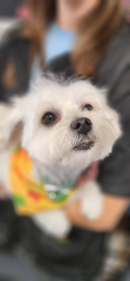 Photos from Love 4 Dogs's post